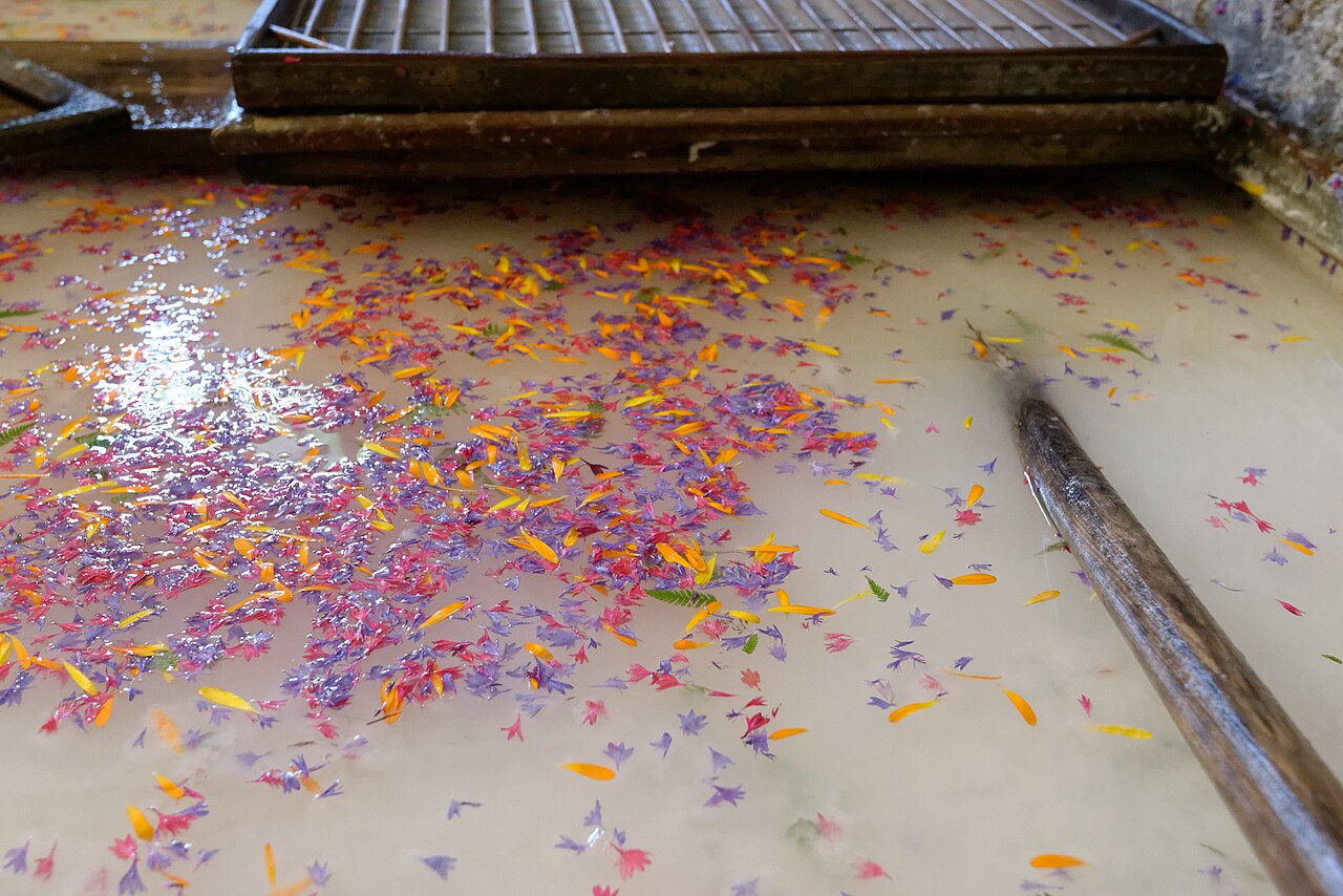 Pétales utilisés dans la fabrication du papier floral au Moulin Richard de Bas