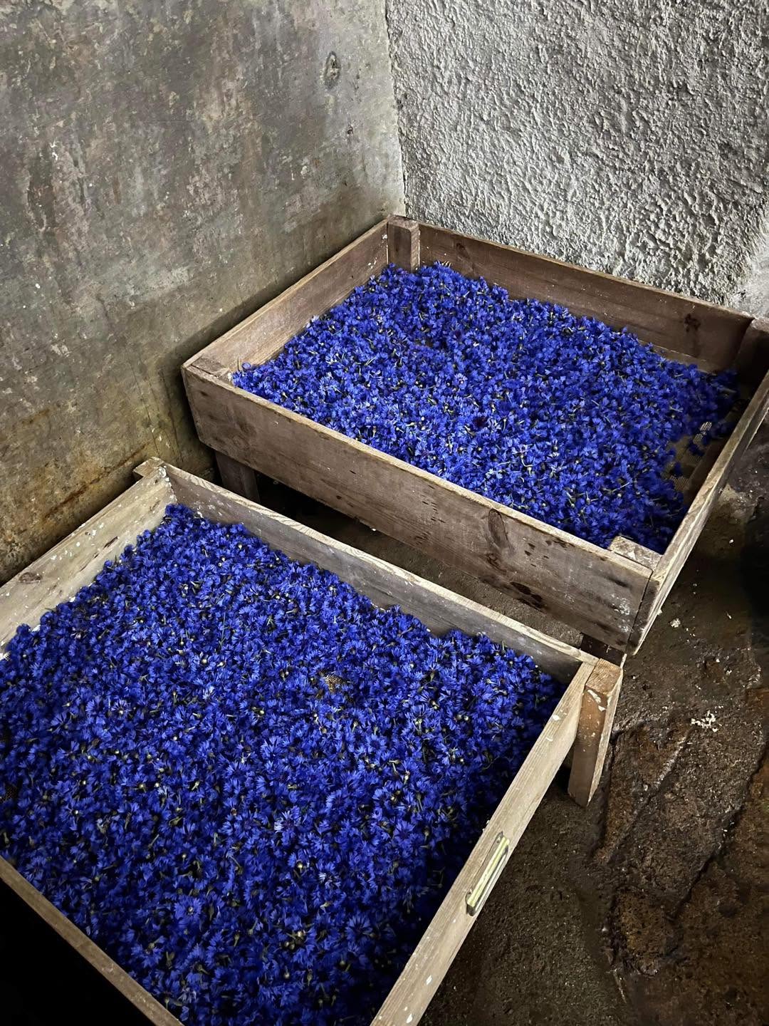 Papier artisanal décoré de bleuets